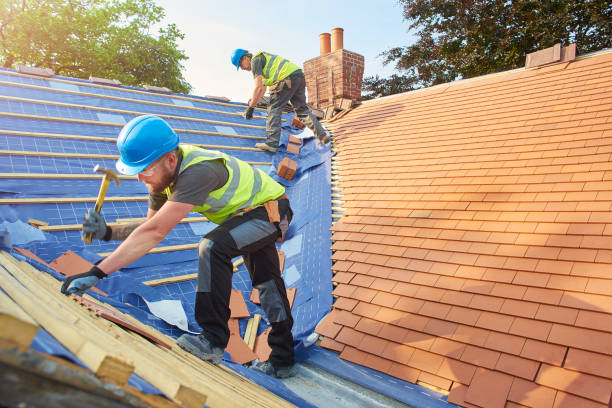 Best Asphalt Shingle Roofing  in Hephzibah, GA
